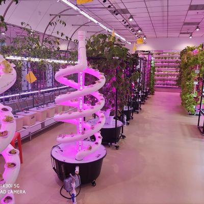 Sistema di coltivazione idroponica a doppia elica per giardini interni