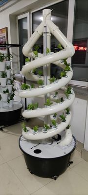 Sistema di coltivazione idroponica a doppia elica per giardini interni