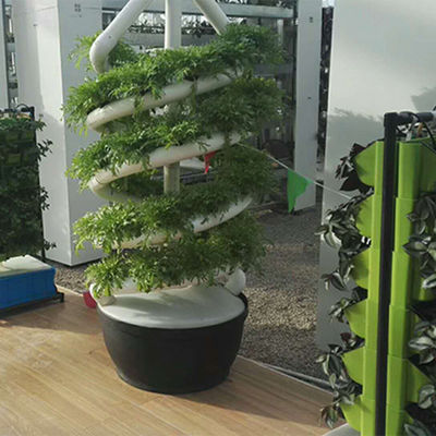 La pianta a spirale verticale della famiglia coltiva la coltivazione di verdure dell'interno dell'aerosol della torre idroponica