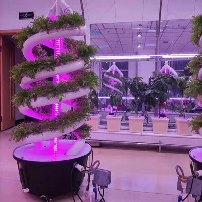 Pianta a spirale verticale coltivare torre idroponica coltivazione giardino aeroponica sistema
