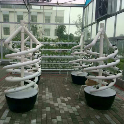 La pianta a spirale verticale della famiglia coltiva la coltivazione di verdure dell'interno dell'aerosol della torre idroponica