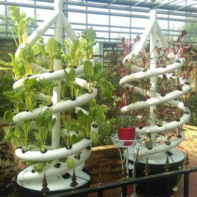 La pianta a spirale verticale della famiglia coltiva la coltivazione di verdure dell'interno dell'aerosol della torre idroponica