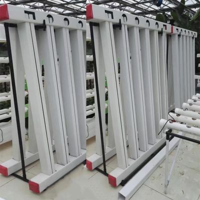 Sistemi di coltivazione idroponica Coltivare verdure a foglia Zipper Indoor Hydroponics Verticale