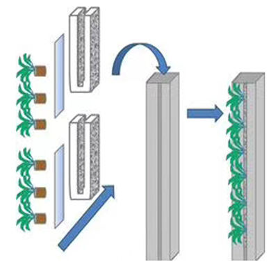 Sistemi di coltivazione idroponica Coltivare verdure a foglia Zipper Indoor Hydroponics Verticale