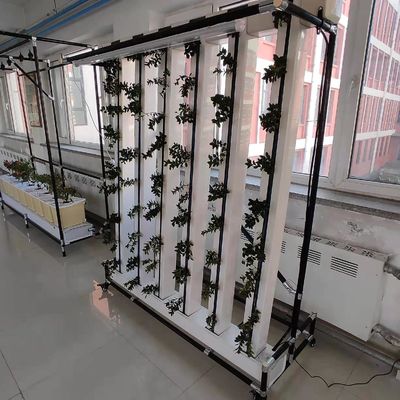 Sistema di coltivazione verticale di fragole e fiori