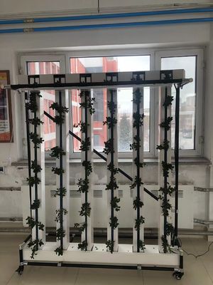 Sistema di coltivazione verticale di fragole e fiori