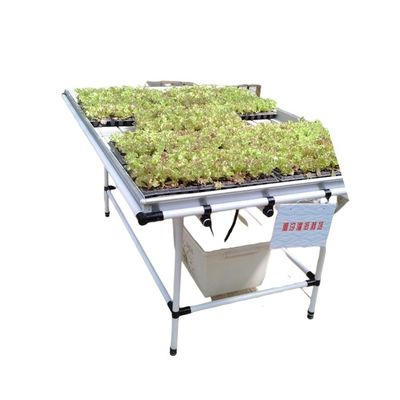 Sistemi verticali di semina Sistema commerciale di flusso/giro Serre agricole